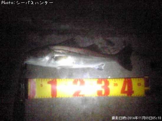 �����Х�