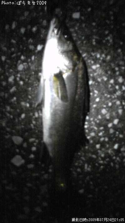 �����Х�