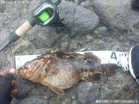 �٥å�������