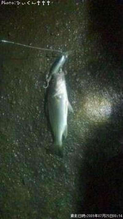 �����Х�