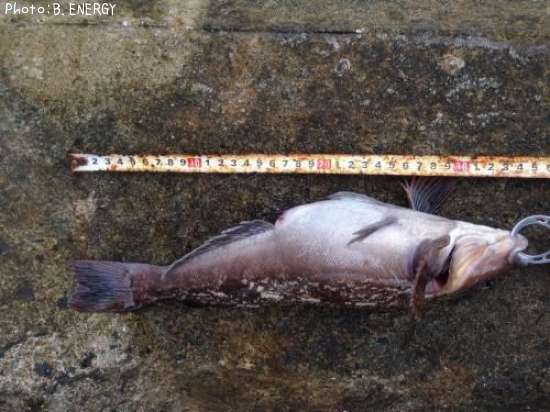 �����ʥ�