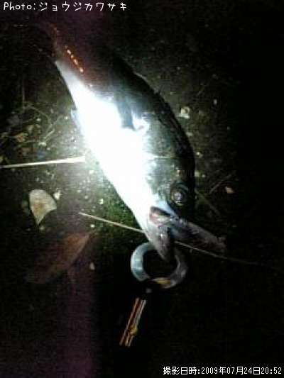 �����Х�