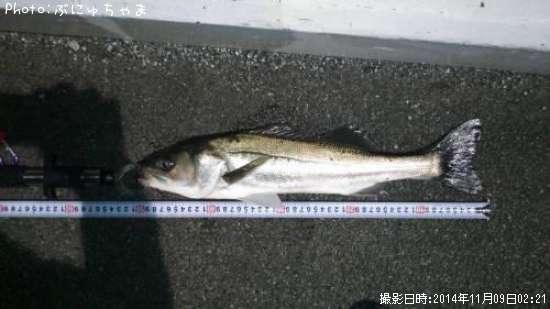 �����Х�