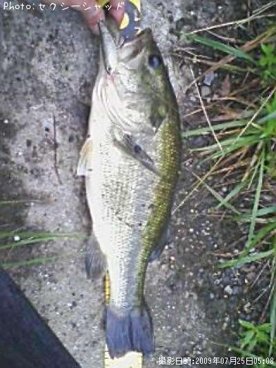 �֥�å��Х�