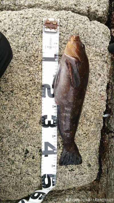 �����ʥ�