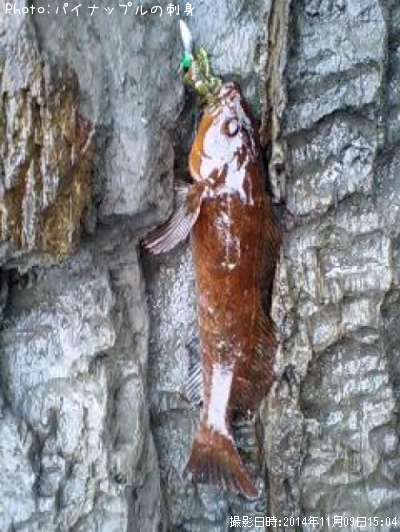 �����ʥ�