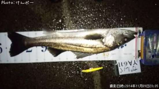 �����Х�