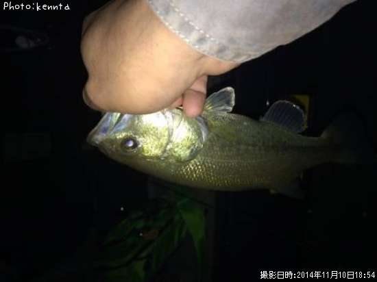 �֥�å��Х�