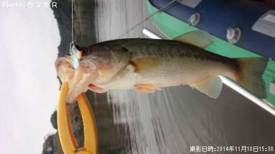 �顼���ޥ����Х�