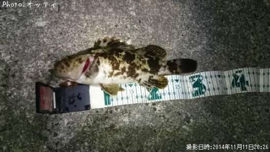 �٥å�������