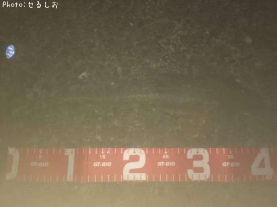 ���ޥ�����