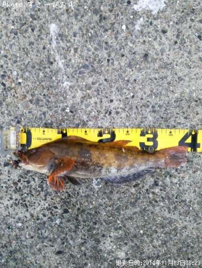 �����ʥ�