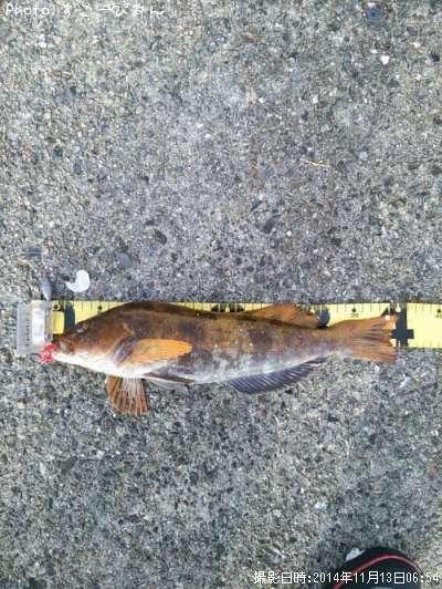 �����ʥ�