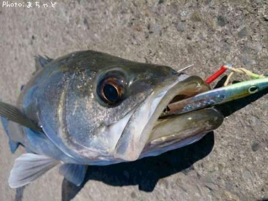 �����Х�