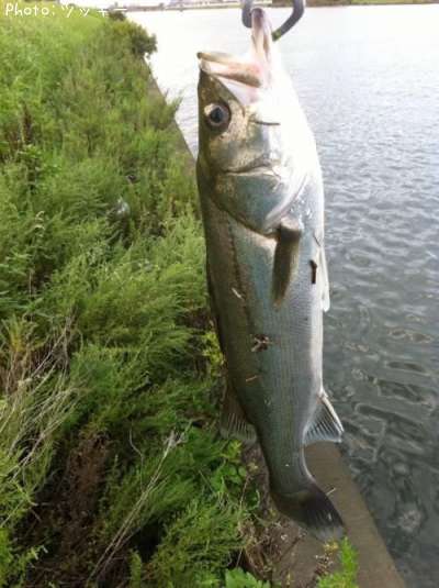 �����Х�