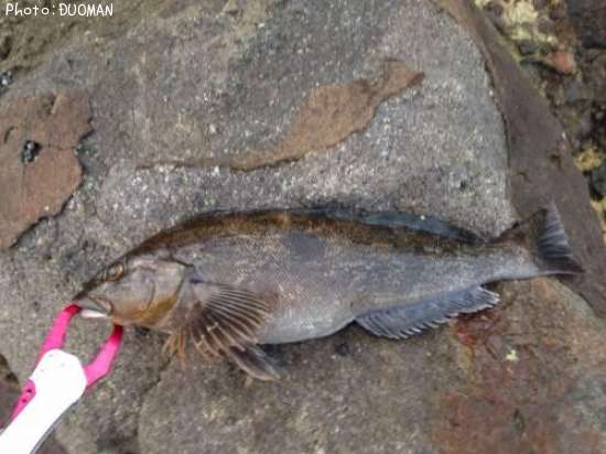 �����ʥ�