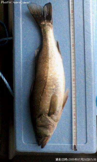 �����Х�