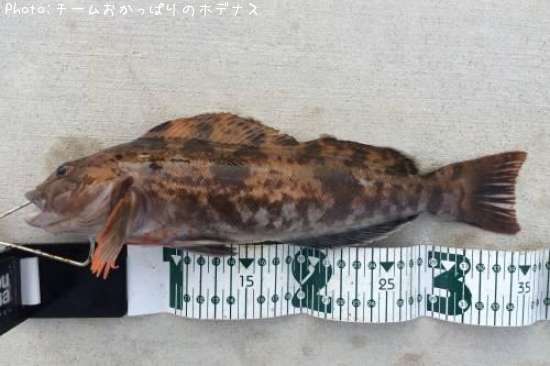 �����ʥ�