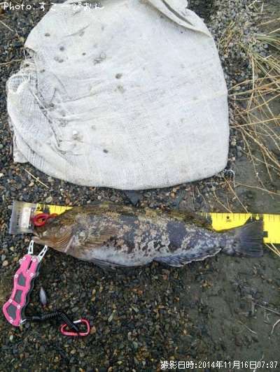 �����ʥ�