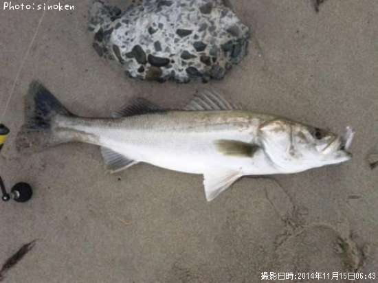 �����Х�