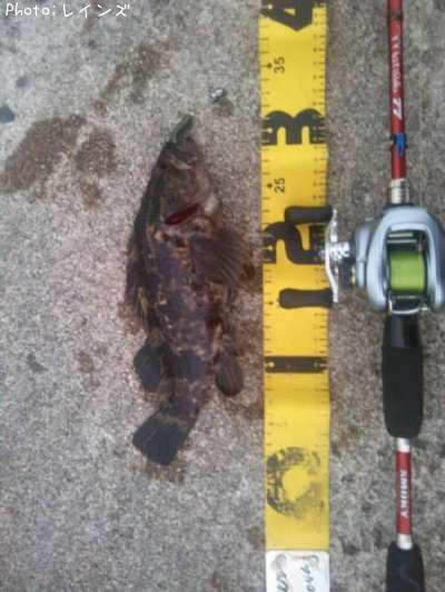 �����Υ���Х�