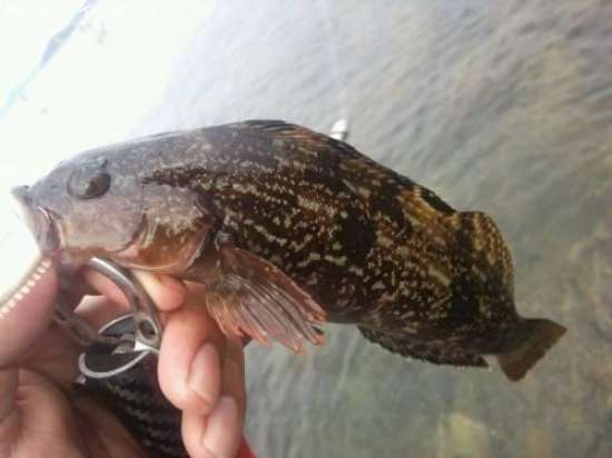 �����ʥ�