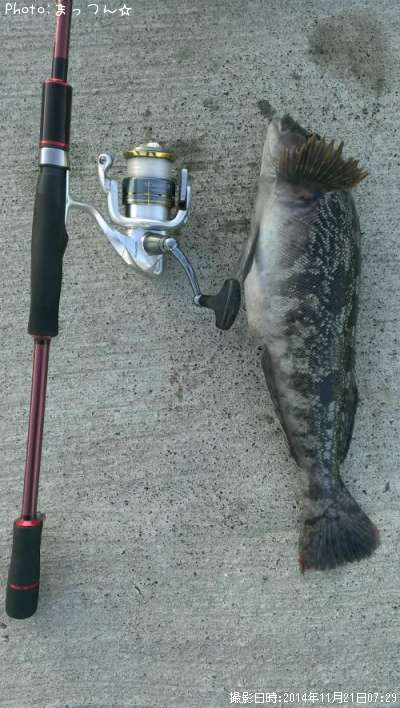 �����ʥ�