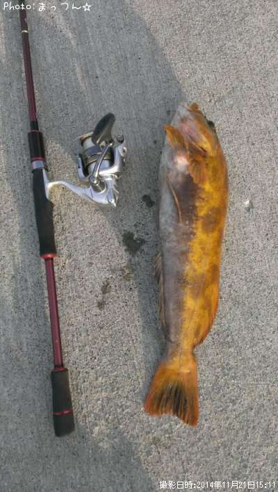 �����ʥ�