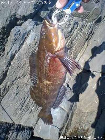 �����ʥ�