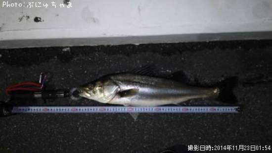 �����Х�