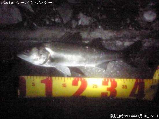 �����Х�