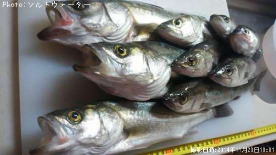 �����Х�