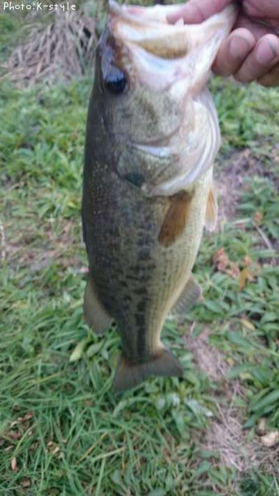 �֥�å��Х�