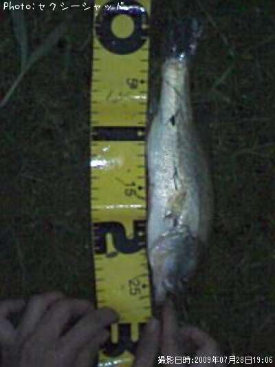 �֥�å��Х�