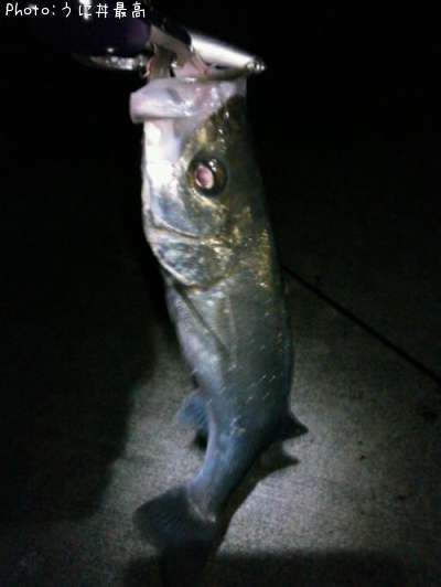 �����Х�