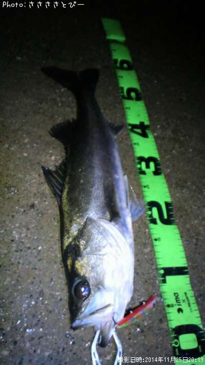 �����Х���