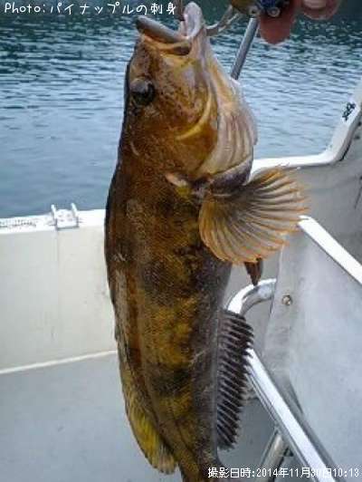 �����ʥ�