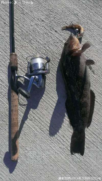 �����ʥ�