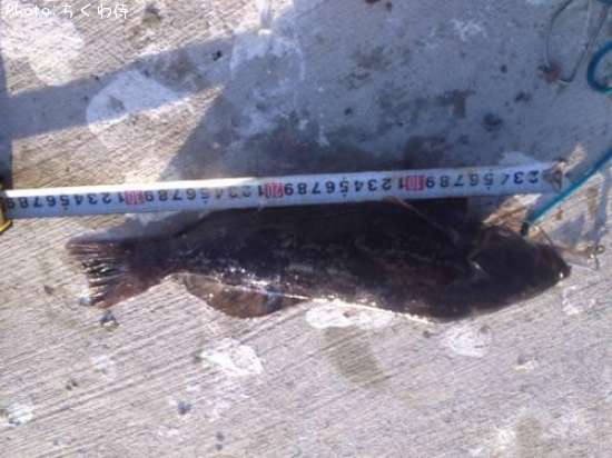 �����ʥ�