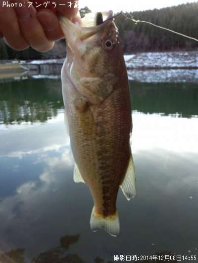 �֥�å��Х�