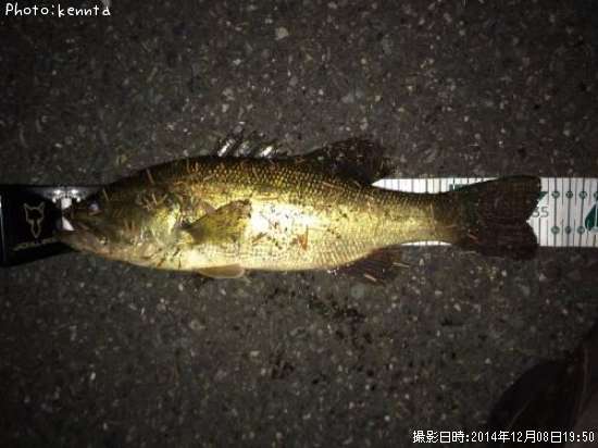 �֥�å��Х�