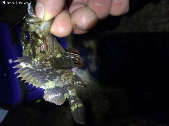 �����Υ���Х�