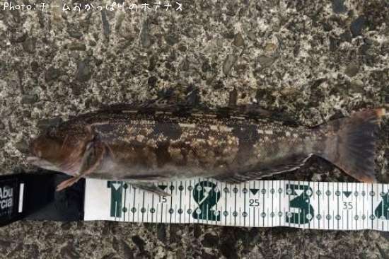 �����ʥ�