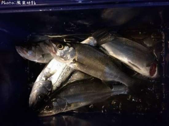 �ҥ饻����