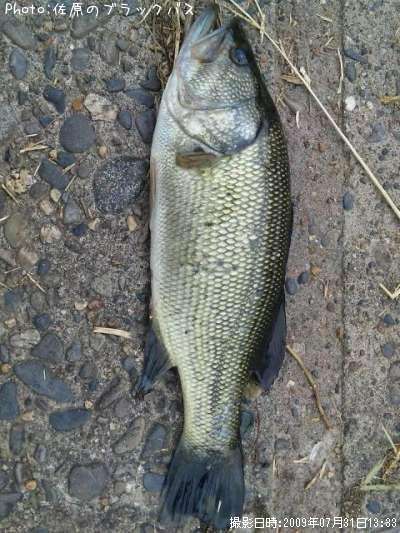 �֥�å��Х�