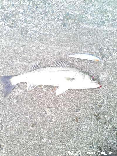 �����Х�