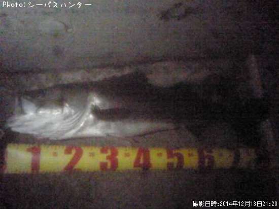 �����Х�