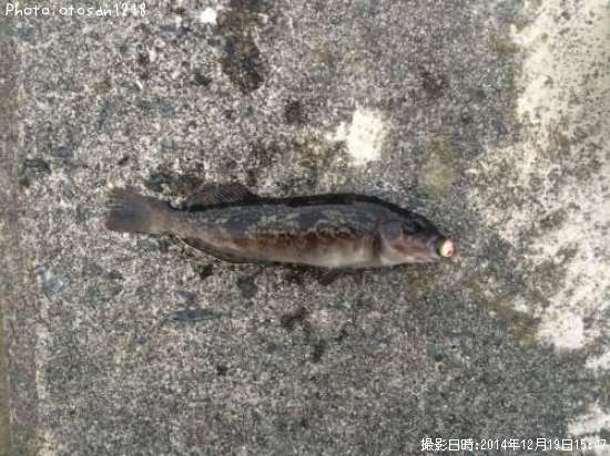 �����ʥ�