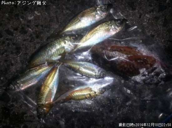 ����������������Х�