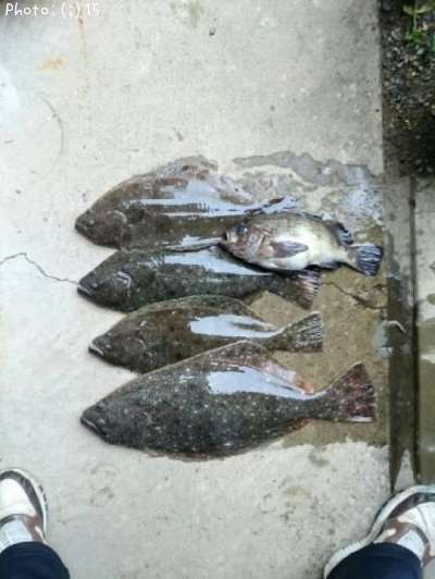 �ҥ��ȥ�Х�